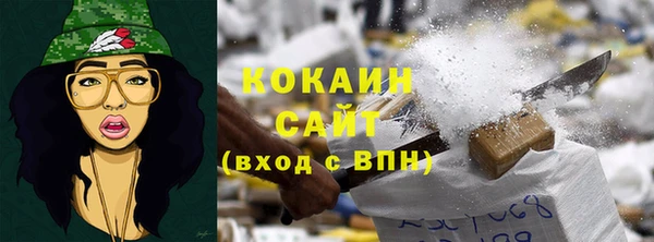 ПСИЛОЦИБИНОВЫЕ ГРИБЫ Козловка