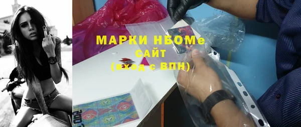 ПСИЛОЦИБИНОВЫЕ ГРИБЫ Козловка