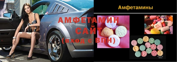 ПСИЛОЦИБИНОВЫЕ ГРИБЫ Козловка