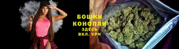 ПСИЛОЦИБИНОВЫЕ ГРИБЫ Козловка