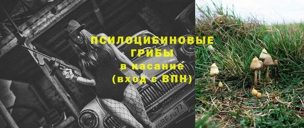 эйфоретик Козельск