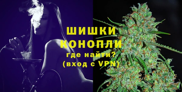 ПСИЛОЦИБИНОВЫЕ ГРИБЫ Козловка