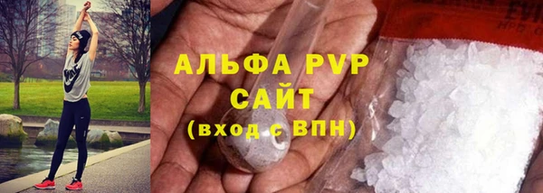 ПСИЛОЦИБИНОВЫЕ ГРИБЫ Козловка