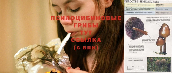 эйфоретик Козельск