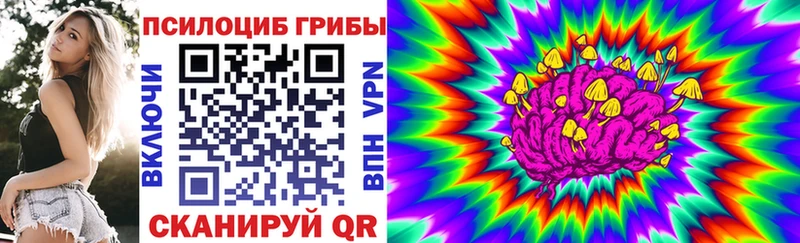 Галлюциногенные грибы Psilocybe  Купить закладки  Инта 